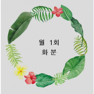 즐거운 나눔의 화분